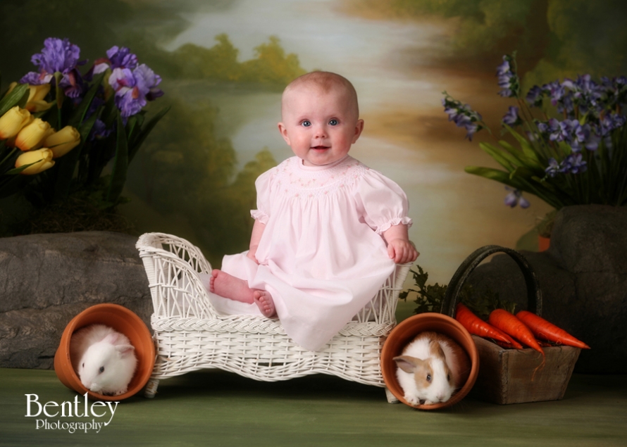 Easter bunny portraits