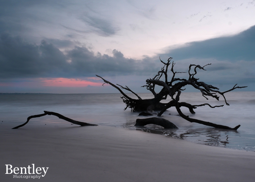 driftwood_beach_jekyll_is_ga