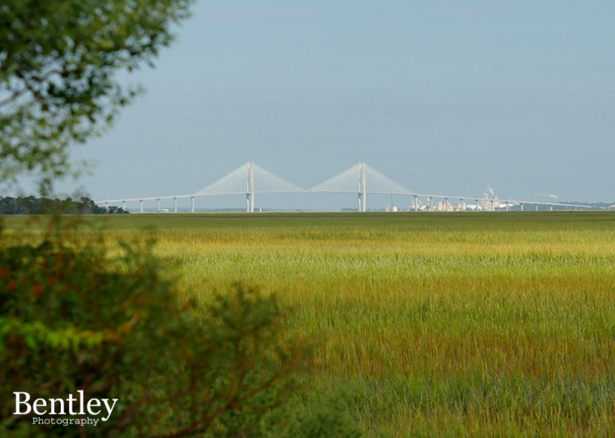 gppa_sindey-lanier-bridge