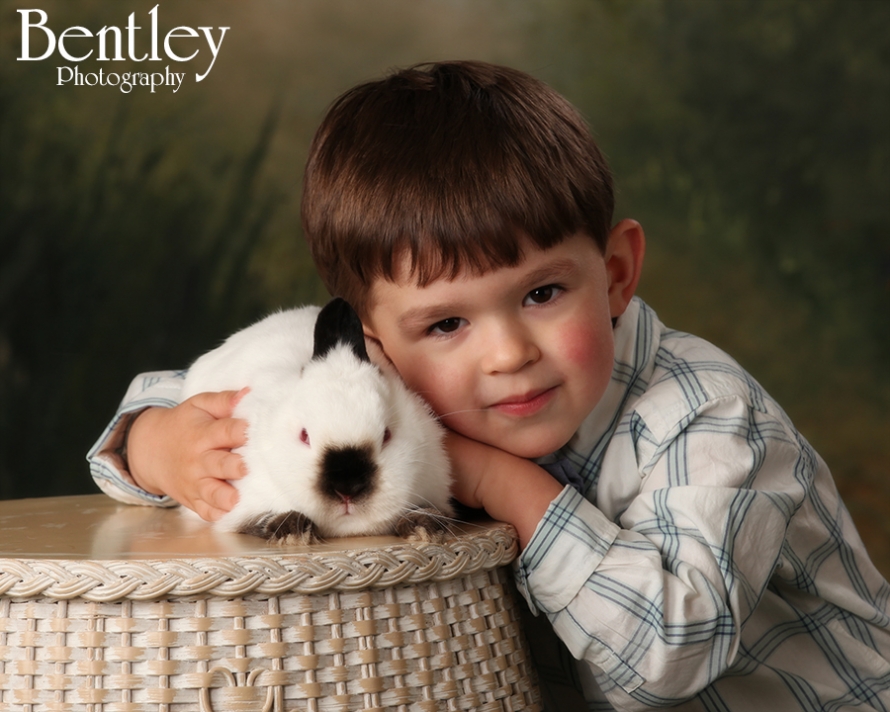 Easter bunny portraits