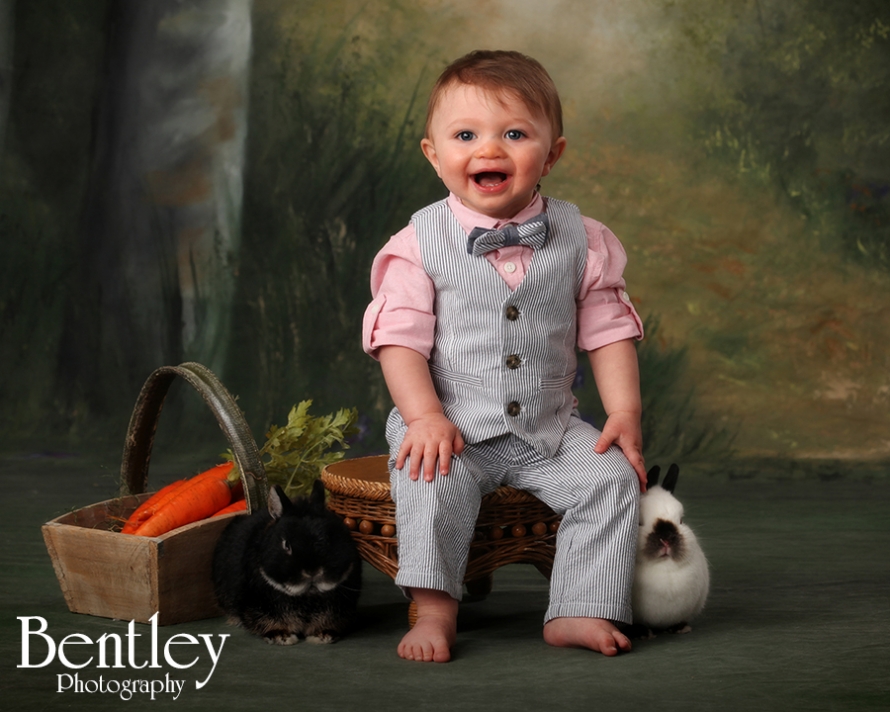 Easter bunny portraits